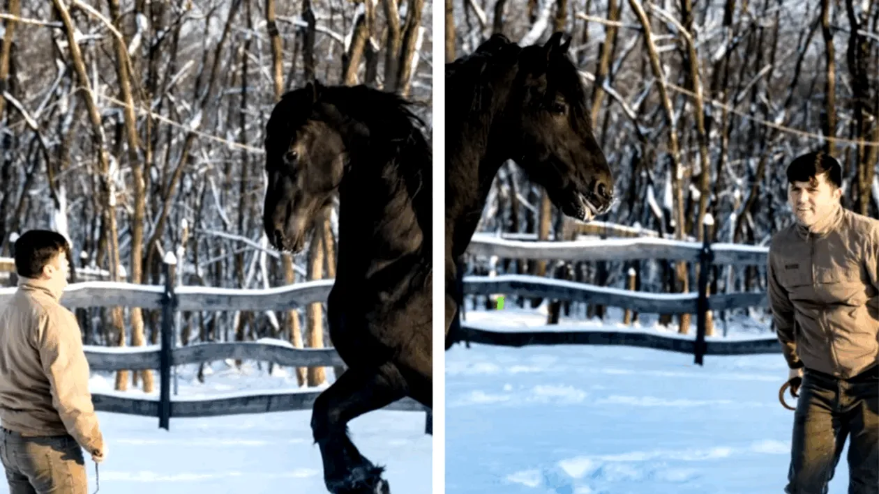 Povestea lui Adrian Cozma, deputatul care a mers călare 350 km până în Alba Iulia: ”Nu am fost pe traseul convenţional”