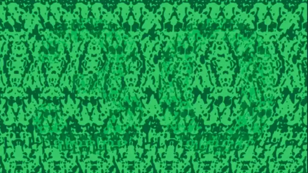 Iluzie optică pentru genii | Ce număr se ascunde în această imagine? Doar 2 din 10 răspund corect