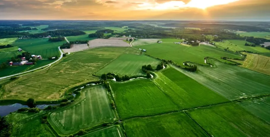 Câți bani primesc românii care lasă terenul pârloagă