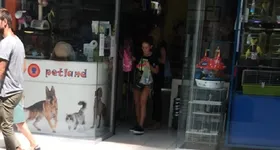 Galerie foto - poza 3