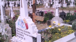 Cine minte? Gabriela Cristea spune ca si-a calcat peste promisiune si a mers la mormantul mamei! Vezi cine o contrazice!