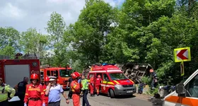 Galerie foto - poza 1