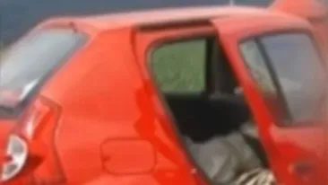 VIDEO Accident terifiant pe DN1! Un cal a trecut printr-un parbriz, iar o femeie a ramas prinsa sub lesul acestuia