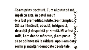 BANC | "Te-am prins, secătură! Cum ai putut să mă înșeli cu asta, în patul meu?