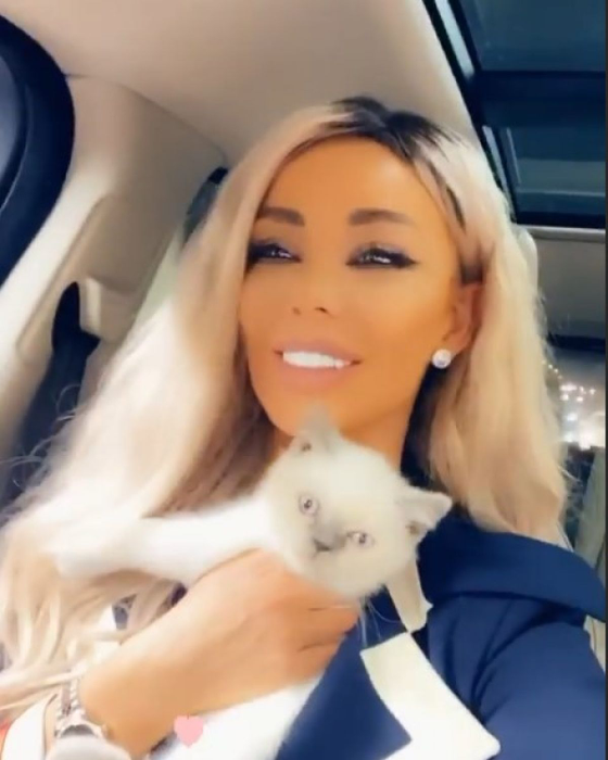 Ce vârstă are pisica ta în ani omenești. Calculul e foarte simplu! Vezi ce vedete preferă micuțele feline și cine a ales să își ia câine