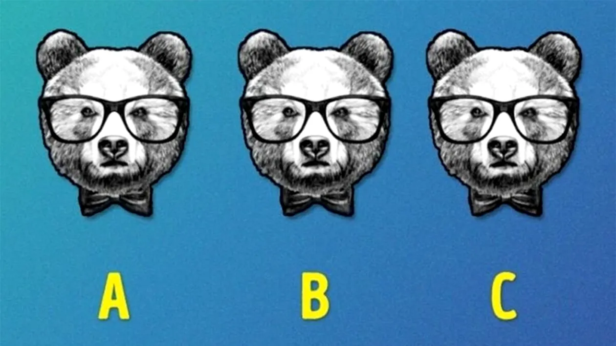 Test de logică | Care urs este diferit de ceilalți doi?
