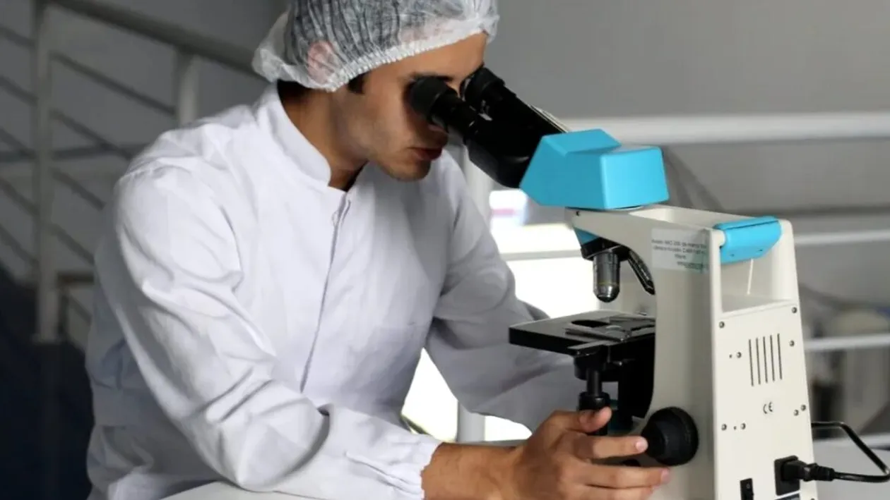 Există o „a treia stare” între viață și moarte. Cercetările celulare care au dus la descoperirea ei