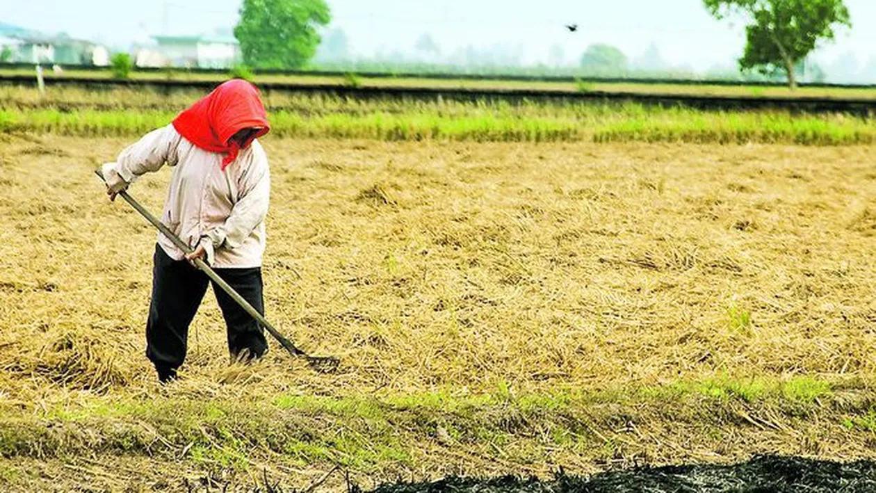 Nu-ti muncesti pamantul? Primesti amenda!