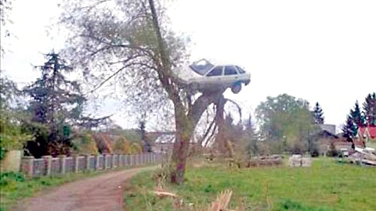 Vecinii au gasit un mod inedit de a pedepsi un tanar: i-au urcat masina in pom pentru ca facea curse cu ea!