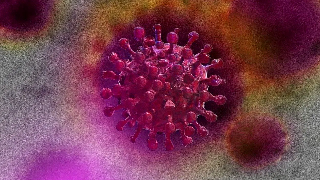 E oficial! Cât poate rezista coronavirusul în corpul pacienţilor care dezvoltă o formă gravă a bolii
