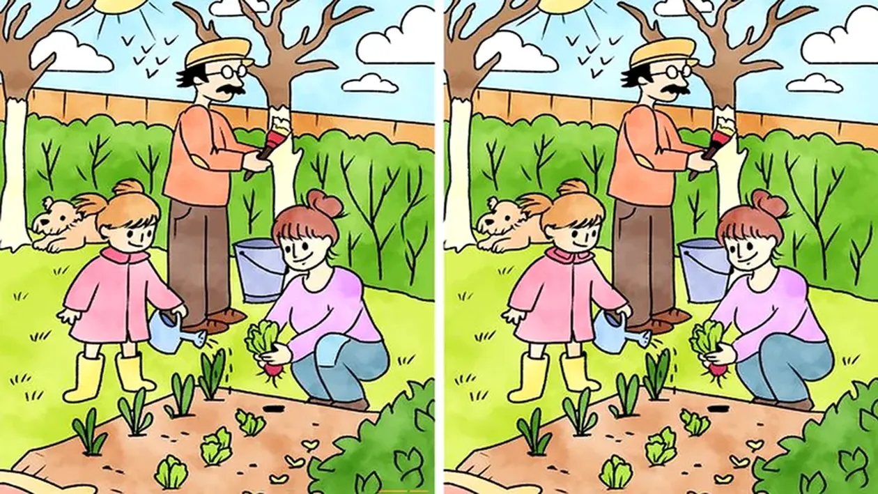 TEST IQ | Găsește cele 5 diferențe dintre aceste 2 imagini. Geniile le descoperă în doar 30 de secunde!