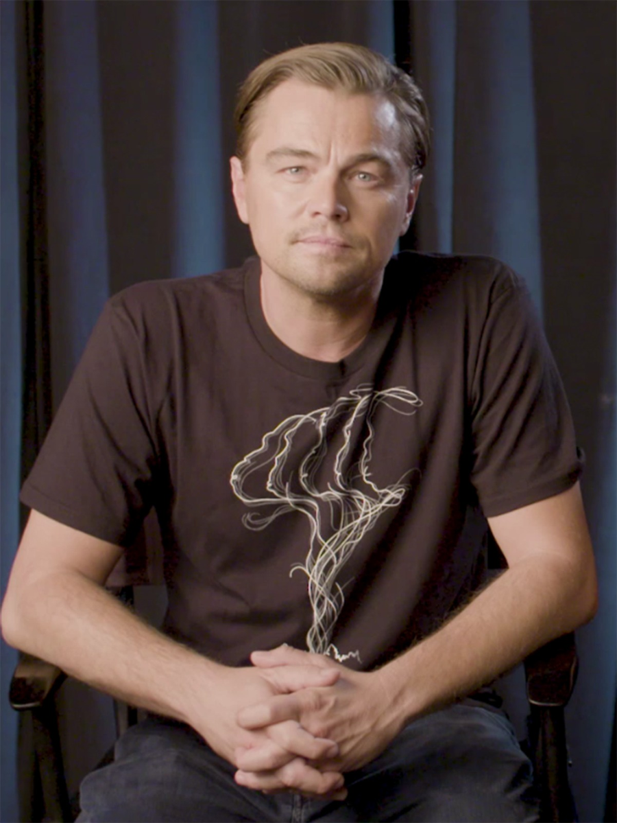 dieta leonardo dicaprio
