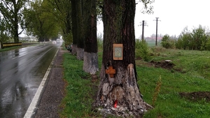 Ce a apărut la locul unde a murit Dan Condrea! Mesaje oculte şi obiecte religioase asezate pe copac