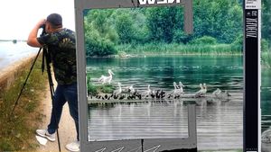 „Invazie″ de păsări rare în Delta Olteniei. Sătenii se plâng că le mănâncă cireșele