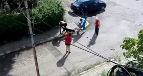 Galerie foto - poza 2