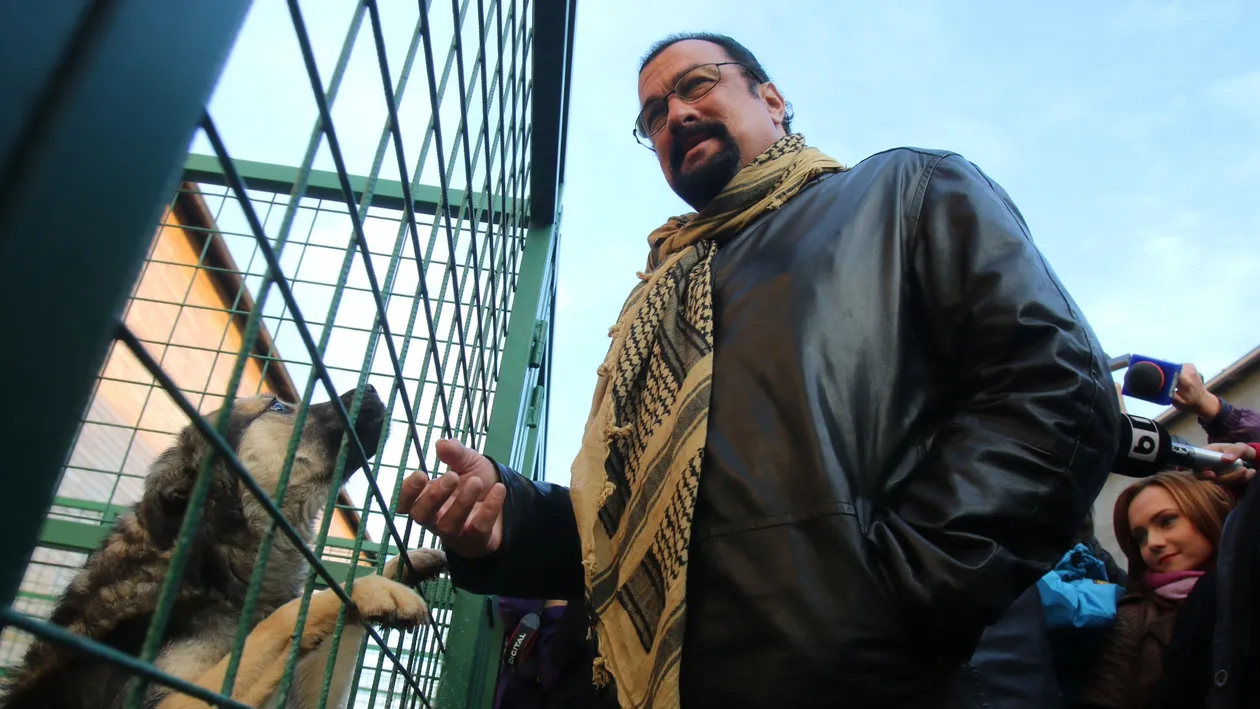 Steven Seagal a adoptat un maidanez din Bucuresti. Grivei l-a cucerit definitiv pe celebrul actor! Uite cum va avea grija de el!