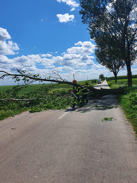 Codul galben a făcut ravagii în România. Copaci prăbușiți, drumuri blocate și mașini avariate. FOTO