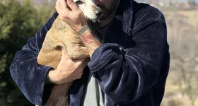 Galerie foto - poza 4