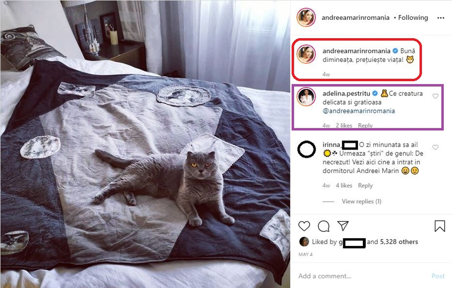 Ce vârstă are pisica ta în ani omenești. Calculul e foarte simplu! Vezi ce vedete preferă micuțele feline și cine a ales să își ia câine