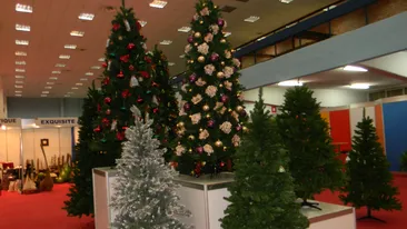 Anul acesta se poarta brazii mov! Vezi cat te costa sa inchiriezi unul artificial, gata impodobit, pentru o luna!