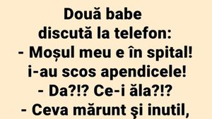 BANCUL ZILEI | Discuție la telefon între două pensionare