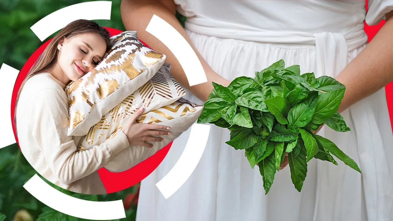 Când trebuie să pui busuioc sub pernă, de Bobotează. Ce e musai să facă fetele nemăritate