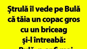 Bancul de duminică | Ștrulă îl vede pe Bulă că tăia un copac gros cu un briceag