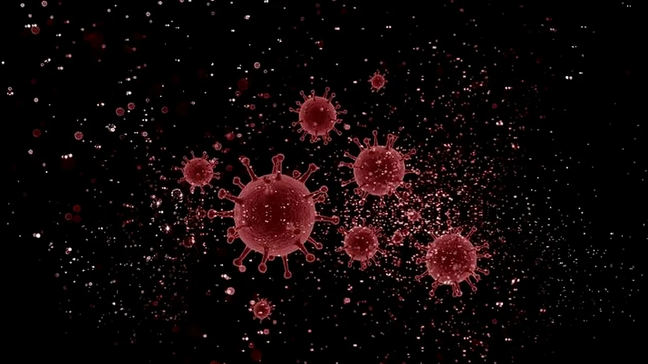 Numărul deceselor din cauza noului coronavirus a crescut! Informații despre noile victime ale pandemiei în România