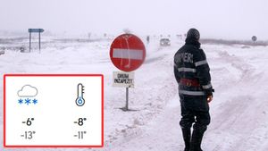 Avertisment de iarnă severă în aceste orașe din România, emis de meteorologii Accuweather. Va ninge continuu!