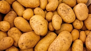 Orașul din România în care 1 kg de cartofi costă 7 lei! De ce sunt atât de scumpi