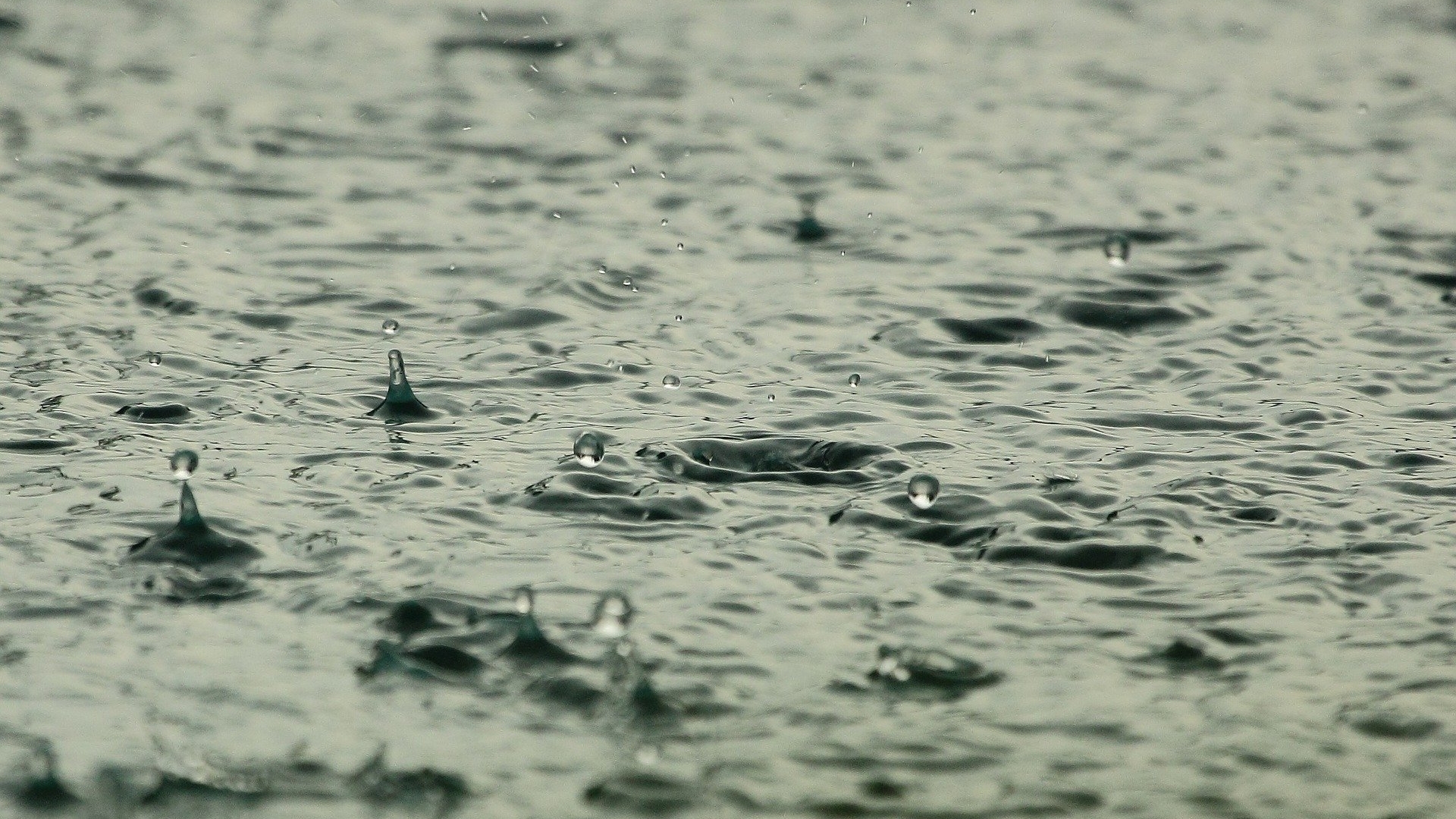 Prognoza meteo marți, 1 iunie. Vreme instabilă și rece