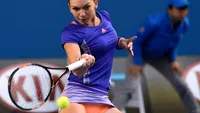 Artistul de la Românii au talent care i-a făcut statuie de beton Simonei Halep recidivează. Cum a înfăţişat-o acum pe mare sportivă