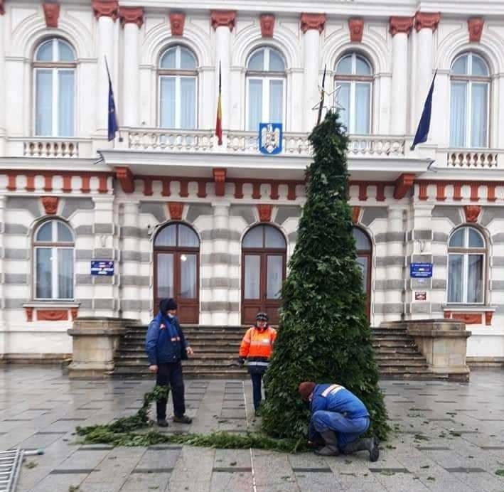 Bradul din fața Prefecturii