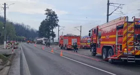 Galerie foto - poza 4