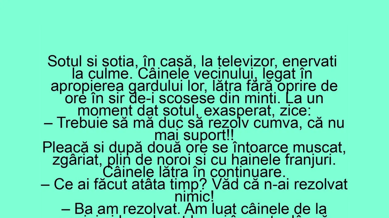 BANC | Soțul și nevasta stau în casă, la televizor, enervați la culme de câinele vecinilor