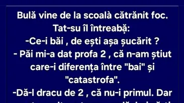 BANC | Bulă, baiul și catastrofa