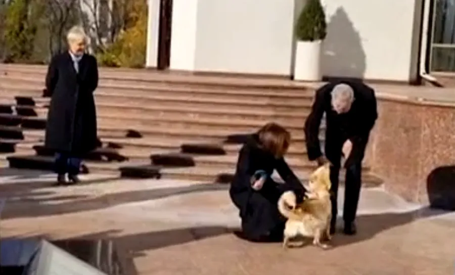 Câinele Maiei Sandu