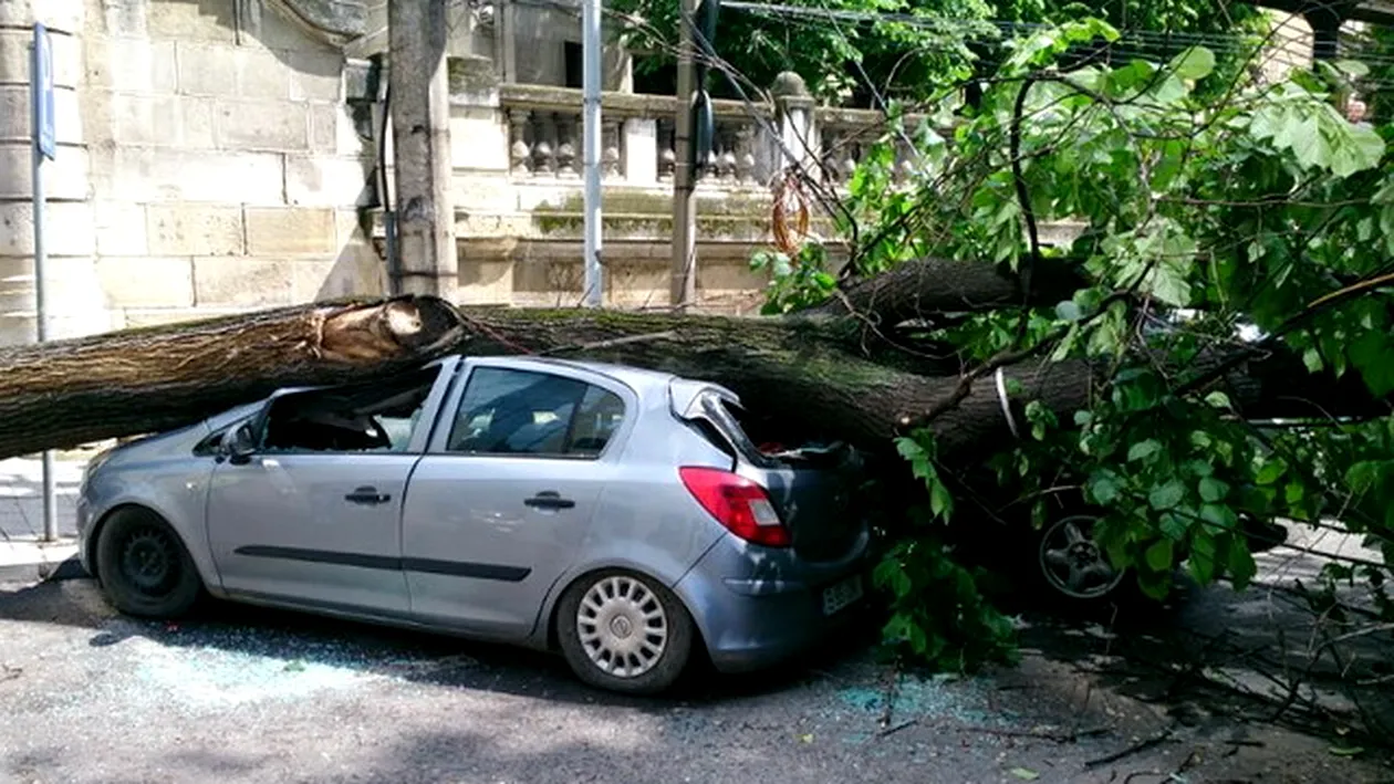 DEZASTRU in Bucuresti! Furtuna violenta care s-a abutut asupra Capitalei a facut ravagii: doua masini au fost distruse!