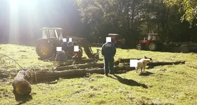 Galerie foto - poza 2