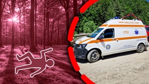 Sfârșit tragic pentru un muncitor forestier din Vrancea! A fost găsit fără viață după un accident cumplit