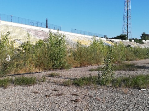 Uluitor cum arată celebrul stadion unde Mirel Rădoi a fost amenințat cu moartea: ”Fugiți…”