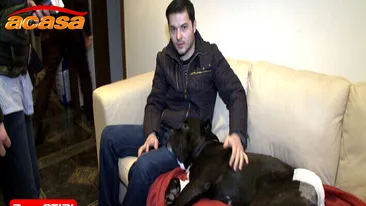 Liviu Varciu, disperat ca Mini, catelusul sau, a fost operat a sasea oara!