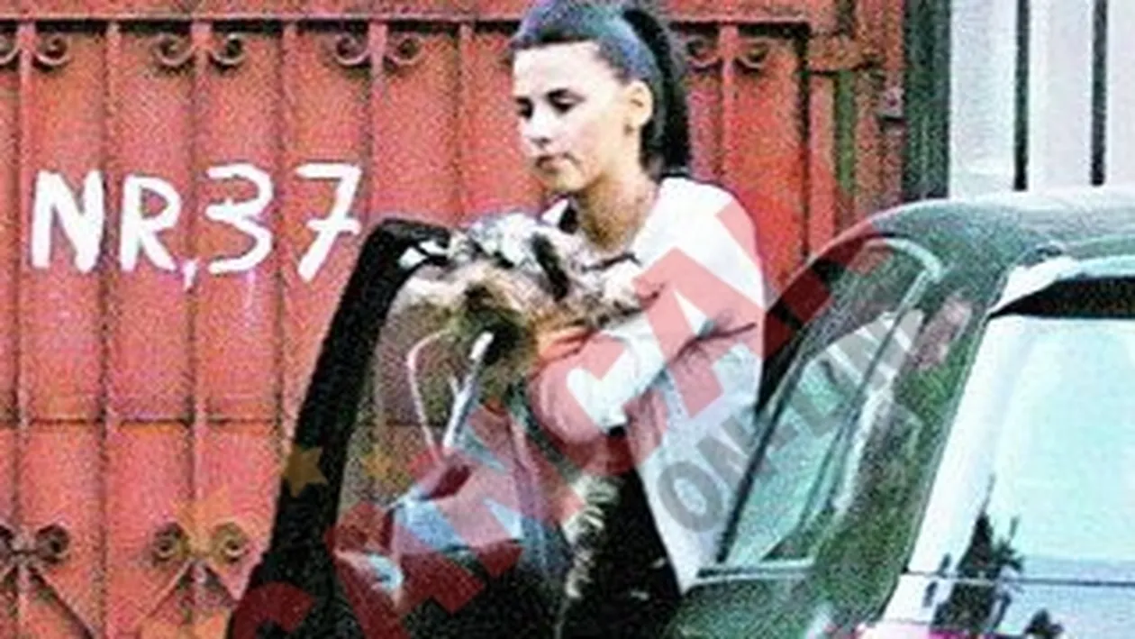 I-a lasat un mesaj sub stergator