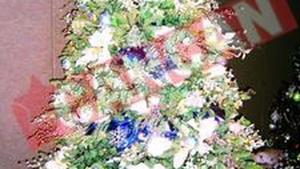 O noua meserie: designeri de brad