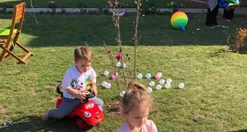 Galerie foto - poza 2