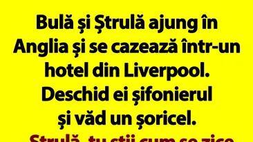 BANC | Bulă și Ștrulă ajung în Anglia și se cazează într-un hotel din Liverpool
