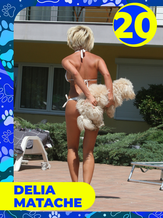 Top 25 vedete care și-au etalat costumele de baie, dar cățeii lor au făcut senzaţie! Delia, Bianca Drăgușanu sau Lora, eclipsate de patrupezi la malul mării