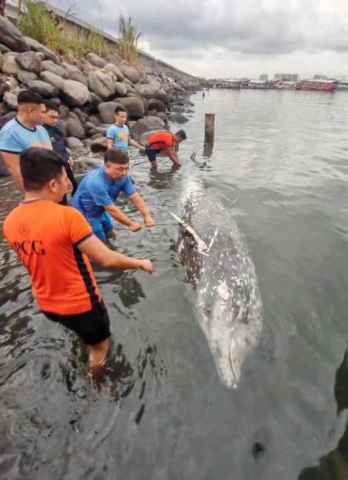 sursă foto: Facebook: Coast Guard District Southeastern Mindanao
