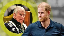 Prințul Harry este determinat să se împace cu Familia Regală. Ce este dispus să facă pentru asta