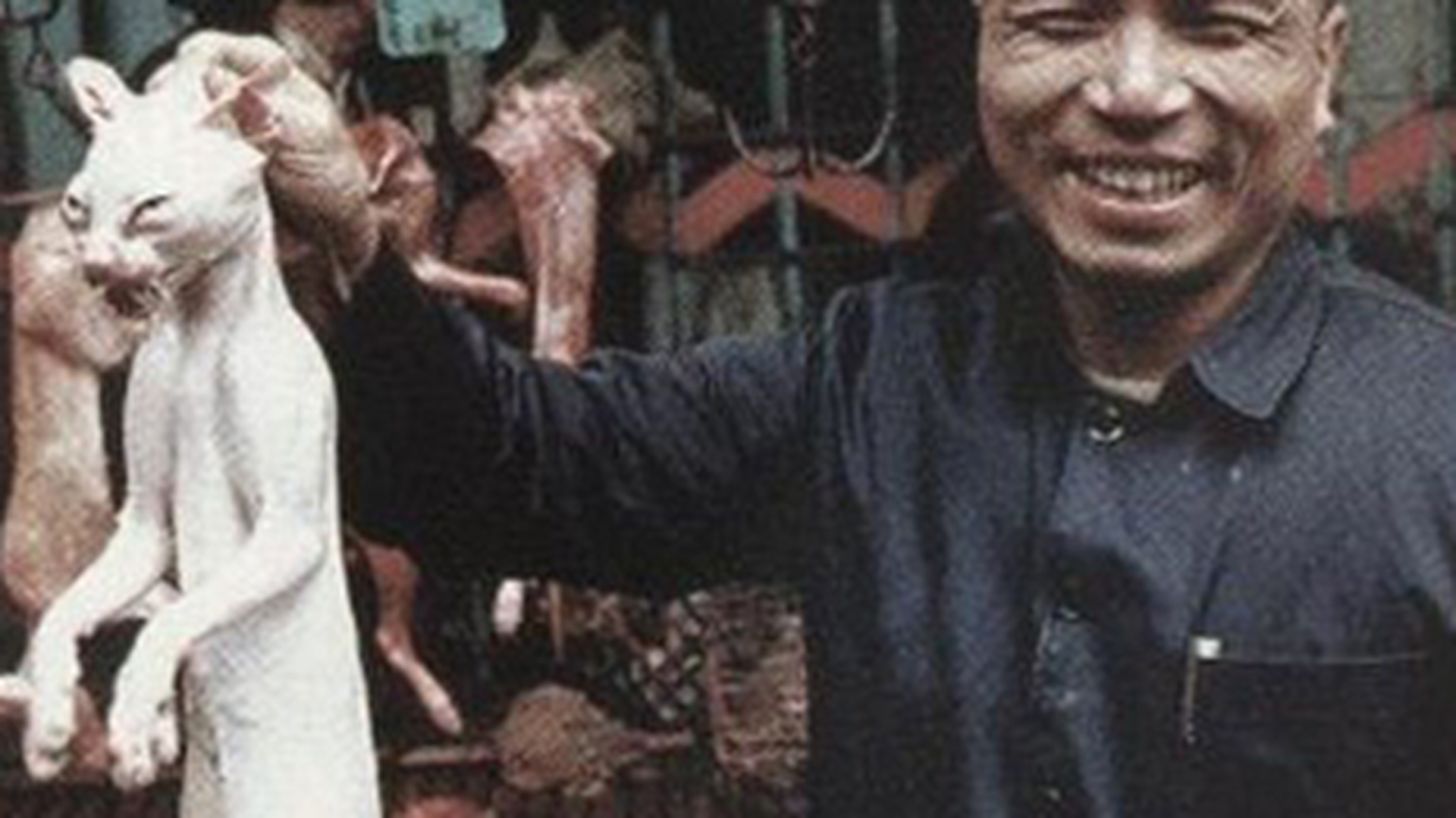 Fotografii INGROZITOARE! Credeai ca e gluma atunci cand auzeai ca in China se mananca pisici si caini?! Un satanist asiatic mananca un avorton prajit!